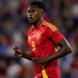 开云中国区-高中锋因伤无缘世界杯，西班牙队损失“攻城锤”