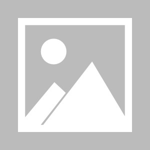 开云科技-格林：对季后赛前景充满信心 本赛季看好篮网夺冠