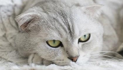 LeyuSports：科技点亮运动的每一步